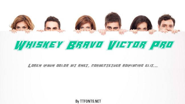 Whiskey Bravo Victor Pro example